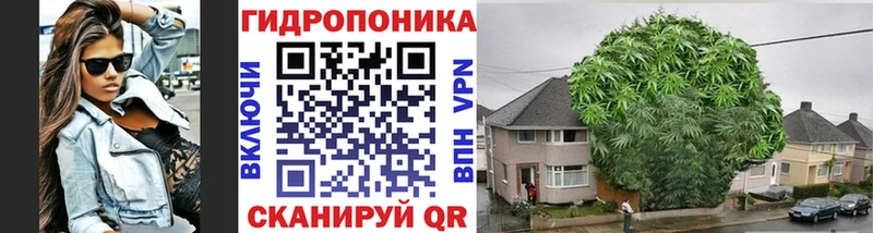 Канабис семена  закладка  Адыгейск 